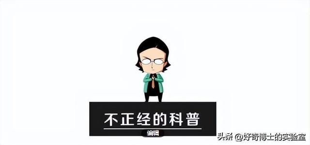 桐书慧