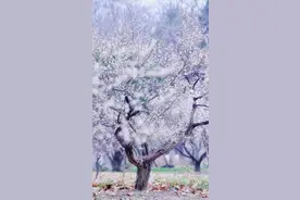 散文：平淡生活，怡情悦性，慢煮素淡光阴，浅喜深爱人生风景图片