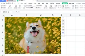 wps表格：将图片嵌入单元格中以便图片随单元格大小自动进行调整图片