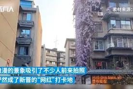 20米花墙盖满楼！成都这地方的春天“红得发紫”图片