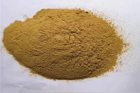 为什么使用中药治疗出血病，三黄，五黄使用了也是没有用。图片