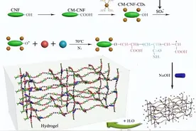 小球藻在污水处理中，是怎样吸附重金属物质，来达到净化水质的？图片