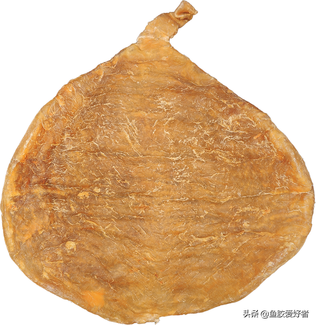 斗湖鱼胶好不好 2026年斗湖鱼胶是鳘鱼胶吗