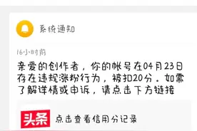 头条小白，不懂平台规则，几分几毛到何时？图片