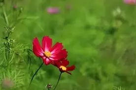 至一习惯：觉知的层次，关联着生命福祉图片