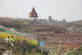 桃花沟龙门阵 丨田园，农庄，牧歌，你一定喜欢图片