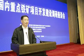 卢卫生：总结经验 形成合力 做实做好国内铁矿项目开发工作图片