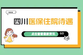 四川职工住院医保待遇：起付标准、大病报销比例和范围是多少？图片