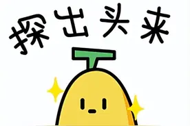 萌化了，各国的国宝动物你都知道吗？图片