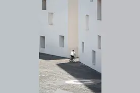 “深大，开放了”图片