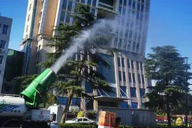 杨絮如雪怎么办？喷水治絮安全有效图片