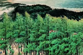 传统绘画革命派——关山月图片