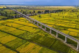 速看！2023年最新农村征地补偿规定：5大要点关乎你能拿多少图片