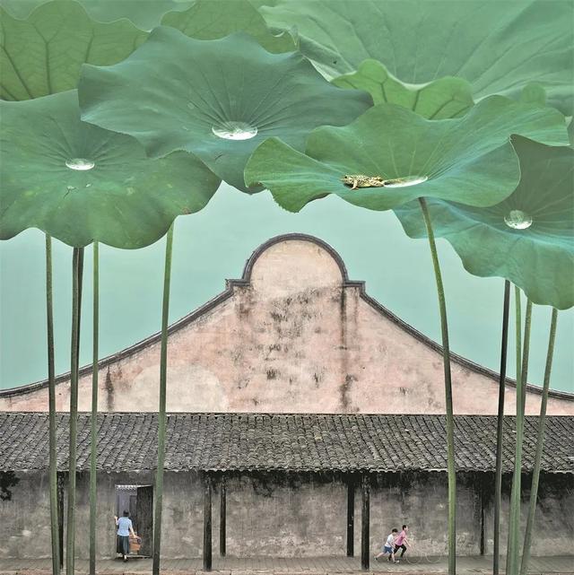 江南旧曾谙 | 2020“画意中国”摄影大展入展作品