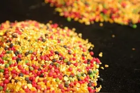 新手学钓鱼，真心不建议购买这几样渔具，花钱还不好用图片