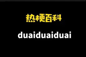「热梗百科」“duaiduaiduai”是什么梗？图片