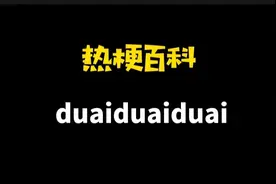「热梗百科」“duaiduaiduai”是什么梗？图片
