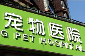 “像开奶茶店一样开宠物医院”宠物看病为何又贵又难？图片