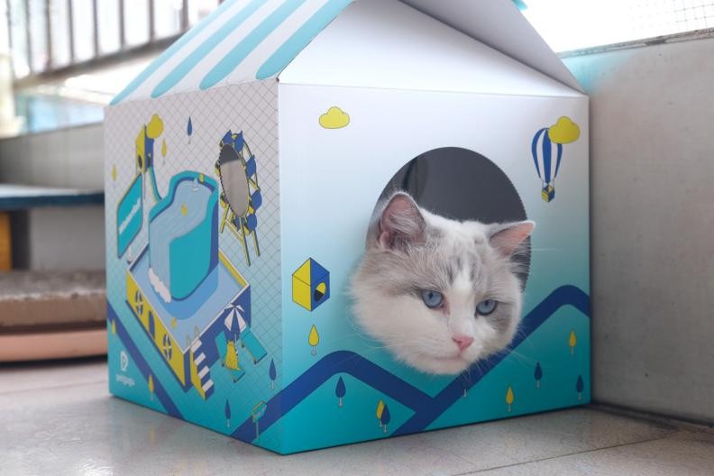 真水电分离,让小主子爱上喝水,宠咕咕猫咪饮水机