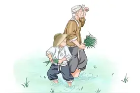 承包地新规：自愿交回承包地，不得再要求承包地，需要注意些啥？图片