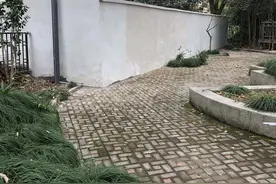 疯狂圈地！占绿毁绿！沪上知名别墅区，是谁这么“豪横”图片
