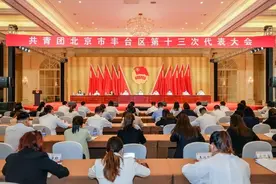 共青团北京市丰台区第十三次代表大会胜利召开图片