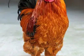 家在农村的注意了，注意这些身边的“宝贝”图片