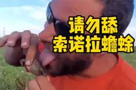 美国人舔蟾蜍成新风潮，癞蛤蟆变为廉价毒品，危害很大快别舔了图片