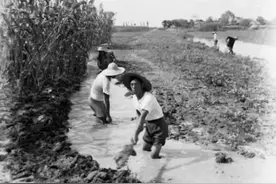 1982年，江苏老农挖出一罐子，里面有40斤黄金图片