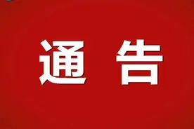 泰安市人民政府通告图片