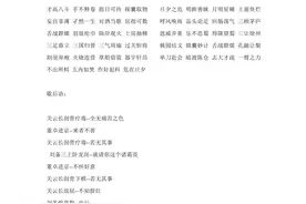 有关四大名著的成语、歇后语图片