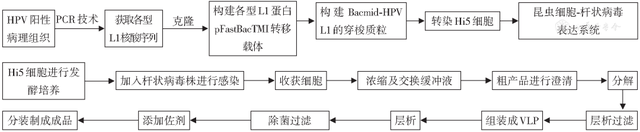 人用疫苗的分类及生产工艺