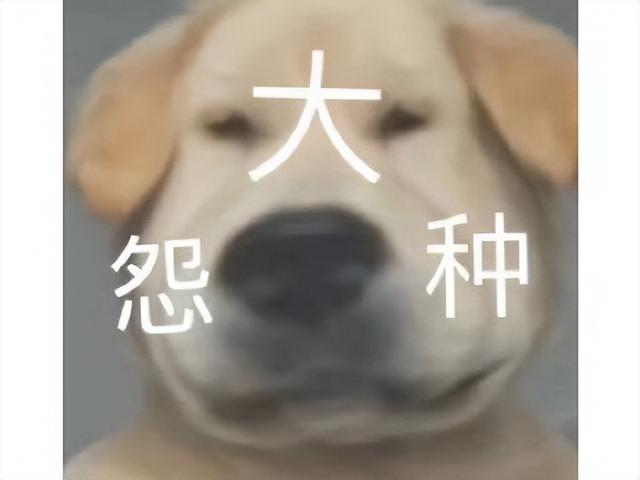 腾讯8亿人气动漫改编手游，被吐槽照搬梦幻西游，运营4年后凉了