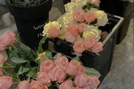 学生时代惊艳了整个青春的文案图片