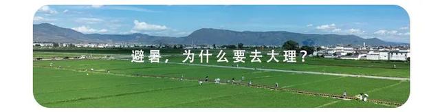 追“风”去大理