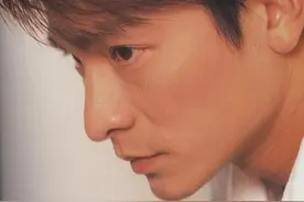 刘德华歌手歌曲题材分类整理图片