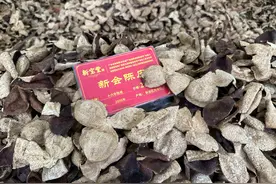 陈皮山楂水真管用！喝了几次也 不口臭了图片
