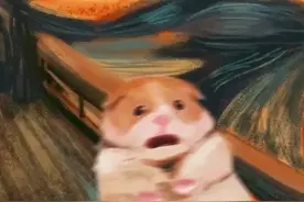 QQ大面积被盗号发送不雅照片，社死程度史无前例？腾讯和学习通都回应了！重要提醒图片