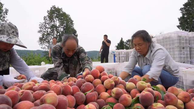 四川省民生研究会新媒体中心-官网