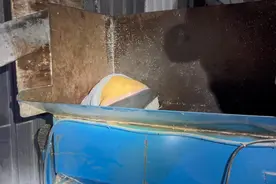 广州天河：男子掉进搅碎机 消防紧急救援图片