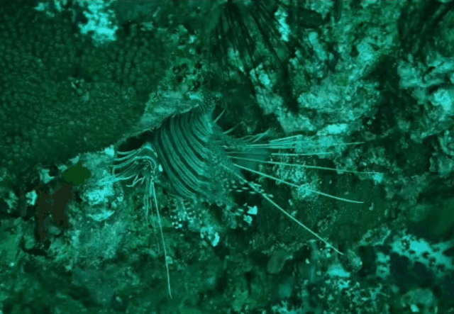 ʵ�⣬����Ǳˮ����õ�����װ������Щ