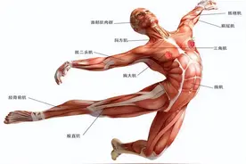 腰疼，千！万！别！按！腰图片