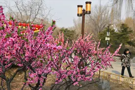 “花开九不尽，遍地添新坟”，今年啥时候“九尽”，百花开了吗？图片