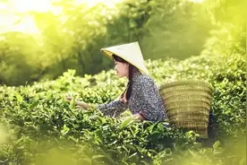 周嗣远 | 风掠山间峰岭过，菜花遍地野蜂狂（原创诗词30首）图片