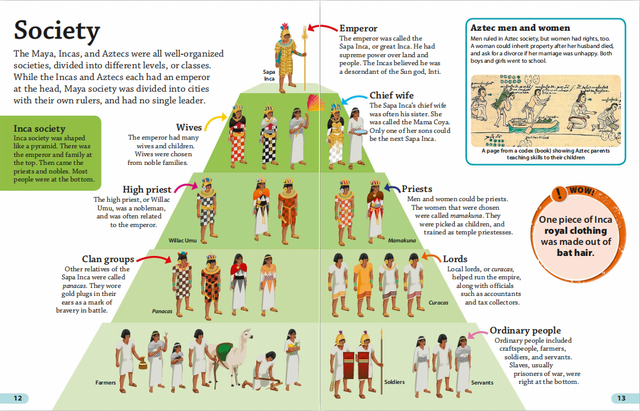 重磅科普视频课《DK findout》，拓展大孩子视野提升见闻