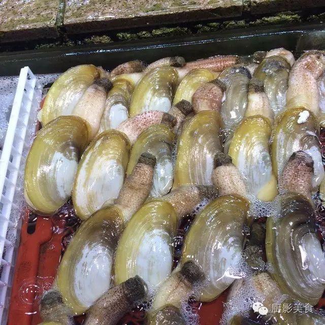 花胶选几级的 花胶等级顺序鱼胶排名大全