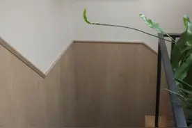 集成墙板都问世几年了，为什么得不到普及？这3点是致命伤图片