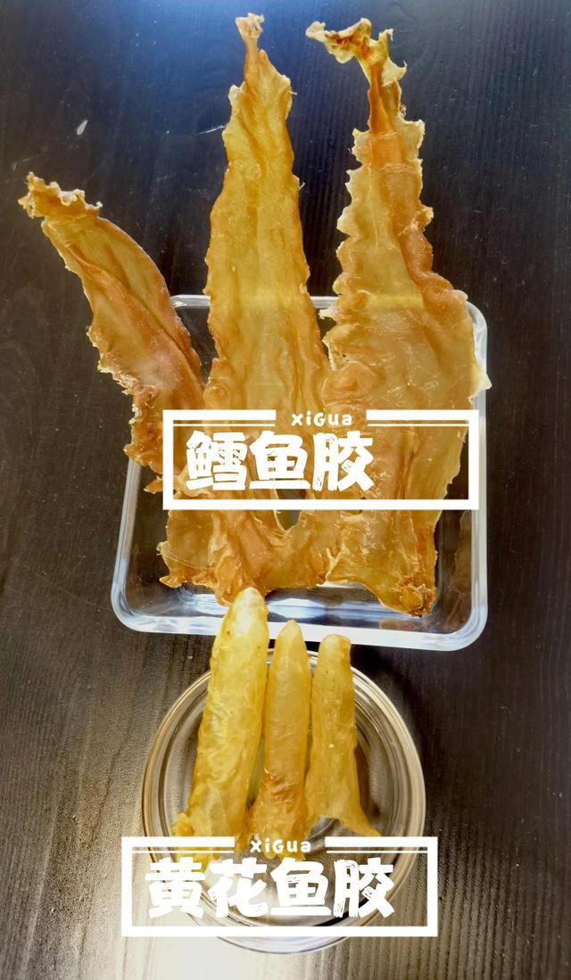 花胶鲨鱼骨骨汤的做法大全 2026年花胶海参鱼翅汤的做法大全