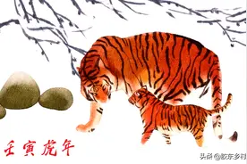 2022年是虎年，农村老人说“壬寅虎下山”是啥意思？年景好不好呢图片