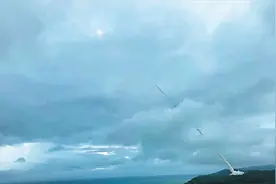 台军打造“刺猬岛”，秘密武器“火红雀”曝光 可执行“斩首行动”图片